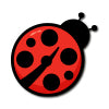 ladybug